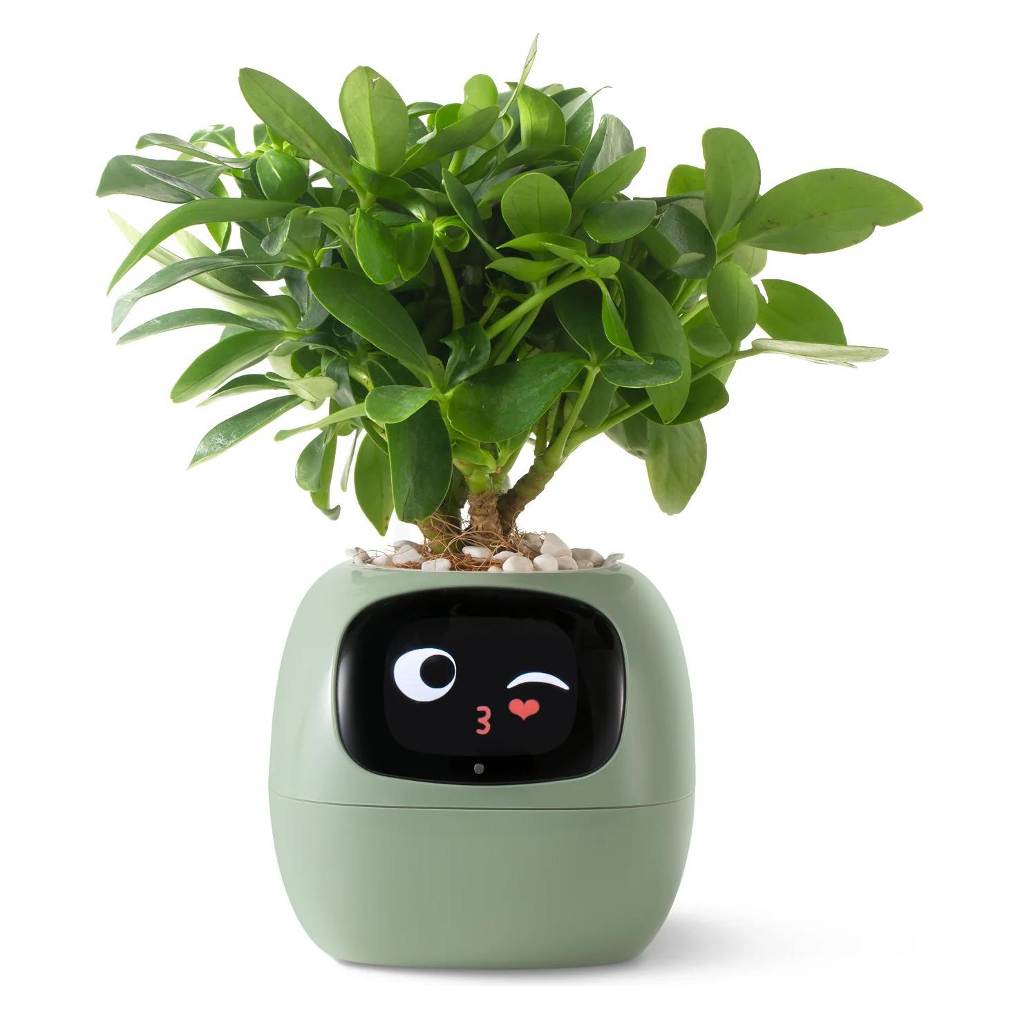 Smart Plant Companion